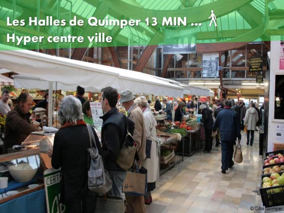 Le Nid 2 Quimper By Nid'Ouest Apartment Bagian luar foto