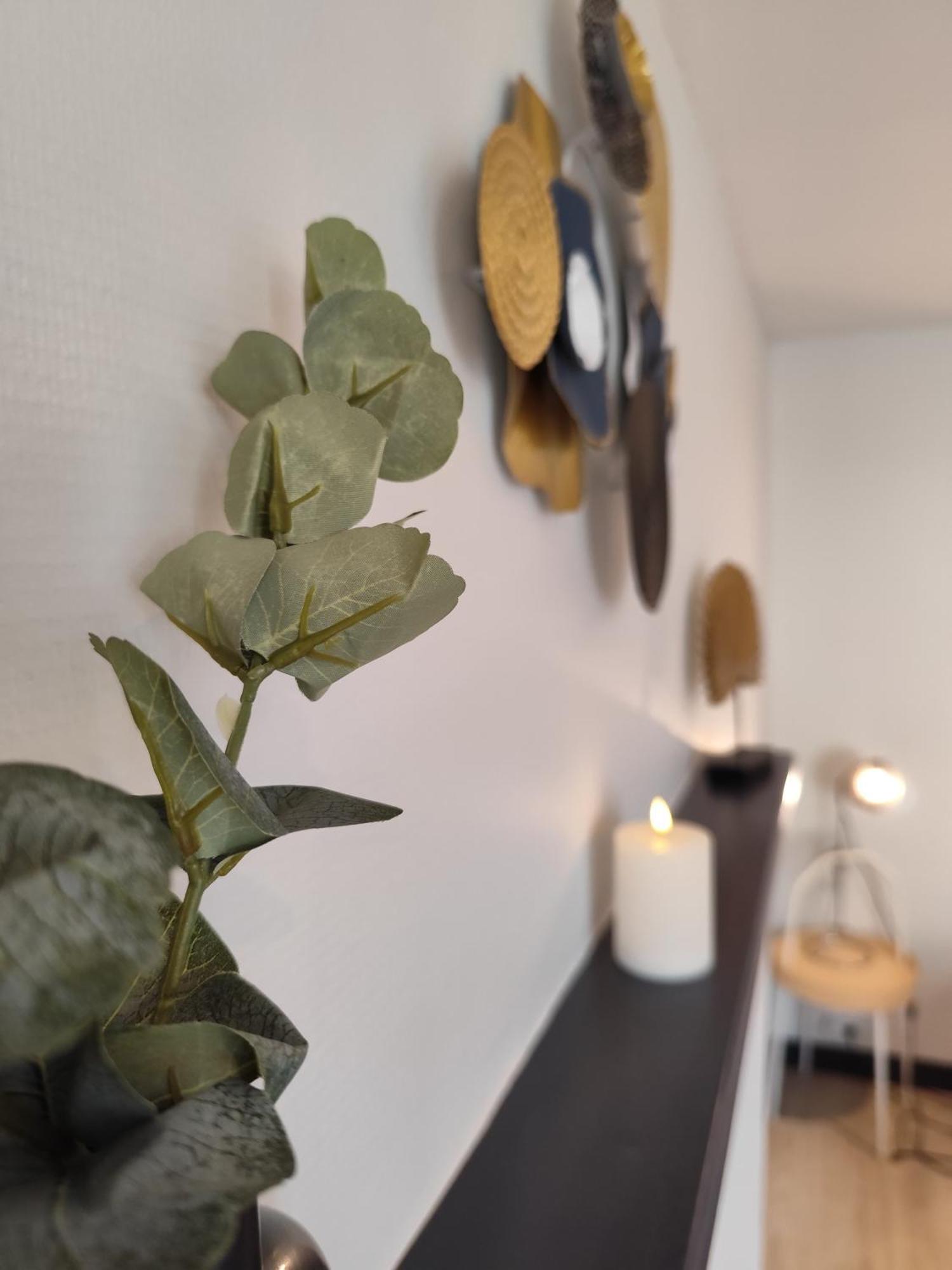 Le Nid 2 Quimper By Nid'Ouest Apartment Bagian luar foto